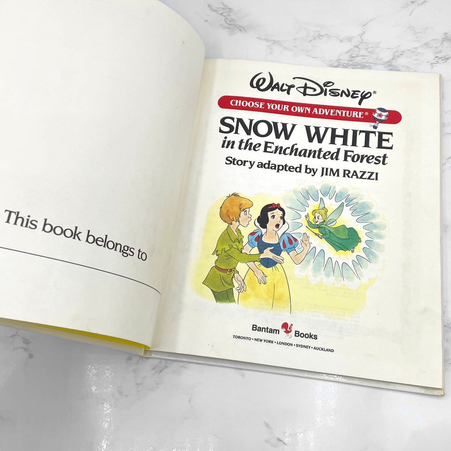 Snow White in the Enchanted Forest [Disney Choose Your Own Adventure #1] by Jim Razzi [FIRST EDITION] 1985