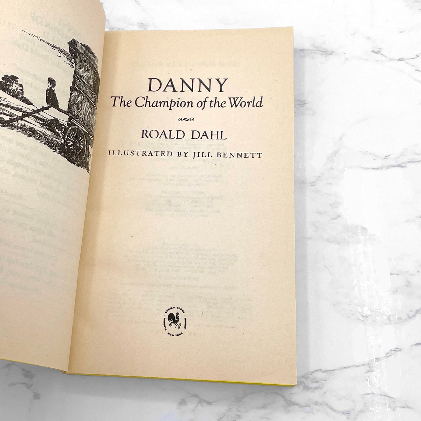 Danny the Champion of the World by Roald Dahl [FIRST MASS MARKET PRINTING] 1979 • Bantam