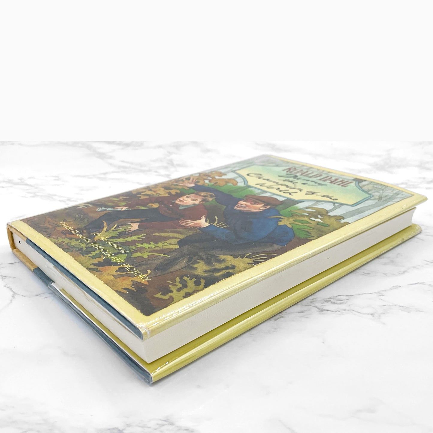 Danny the Champion of the World by Roald Dahl [FIRST EDITION • SECOND STATE] 1989 • 6th Printing • Knopf