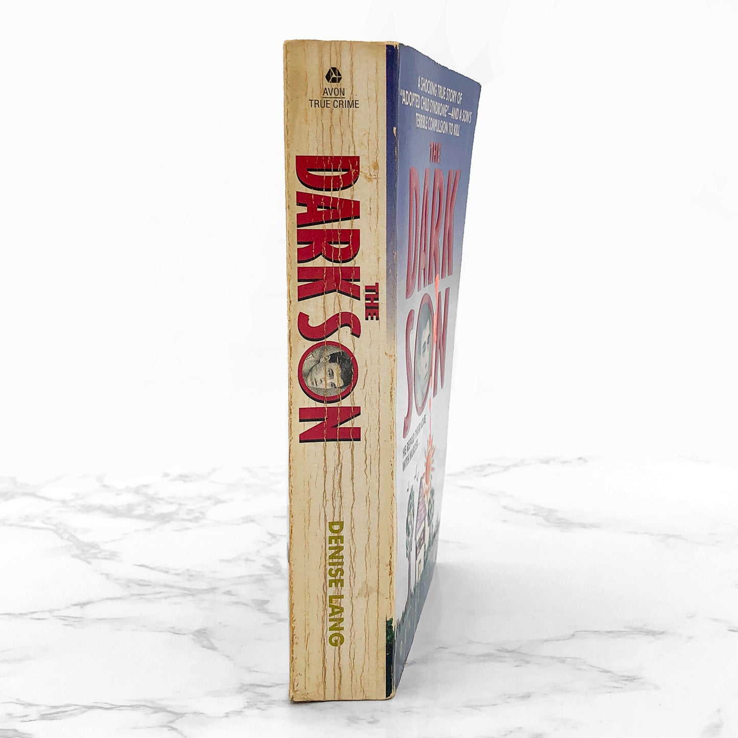 The Dark Son by Denise Lang [FIRST PAPERBACK PRINTING] 1995 • Avon True Crime