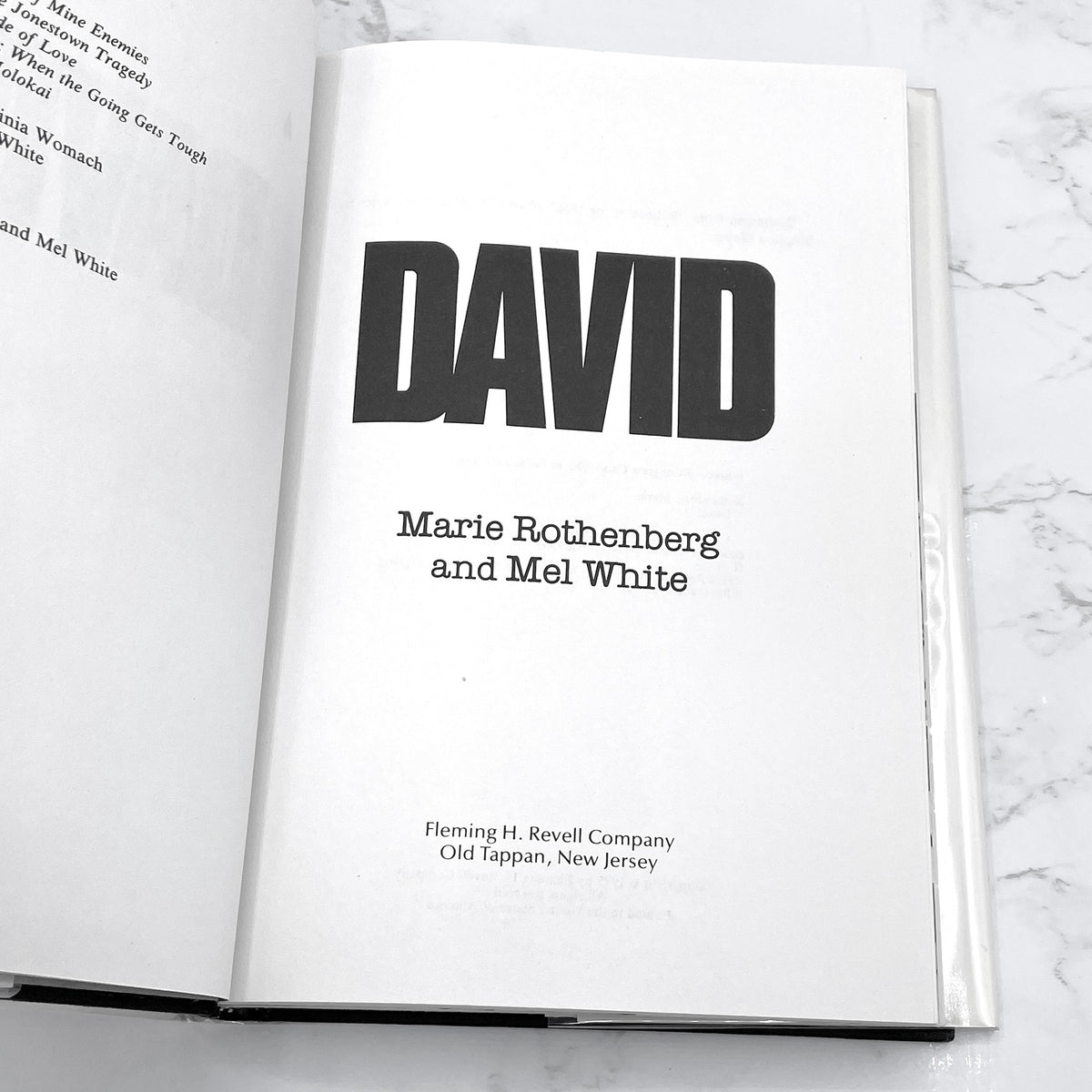 David by Marie Rothenberg & Mel White [FIRST EDITION] 1985 • Fl...