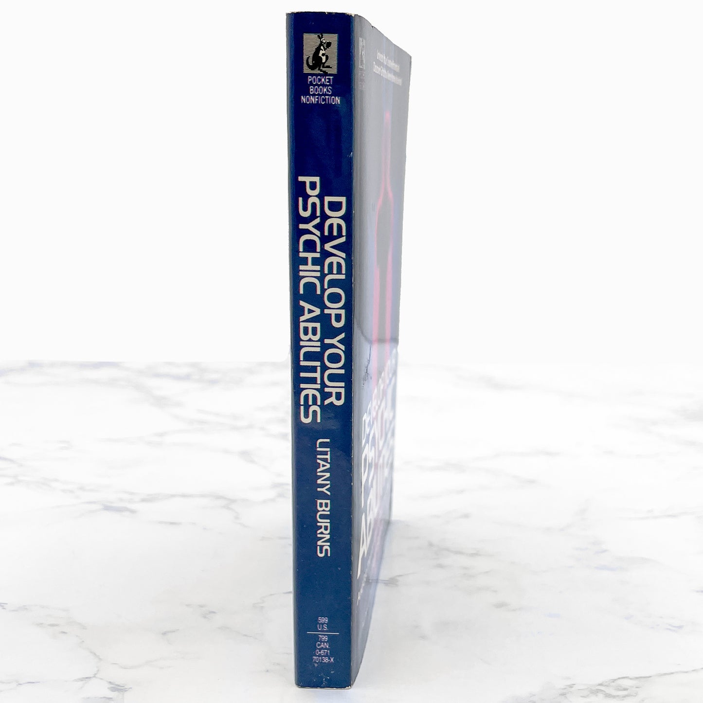 Develop Your Psychic Abilities by Litany Burns [1987 PAPERBACK] • Pocket Books