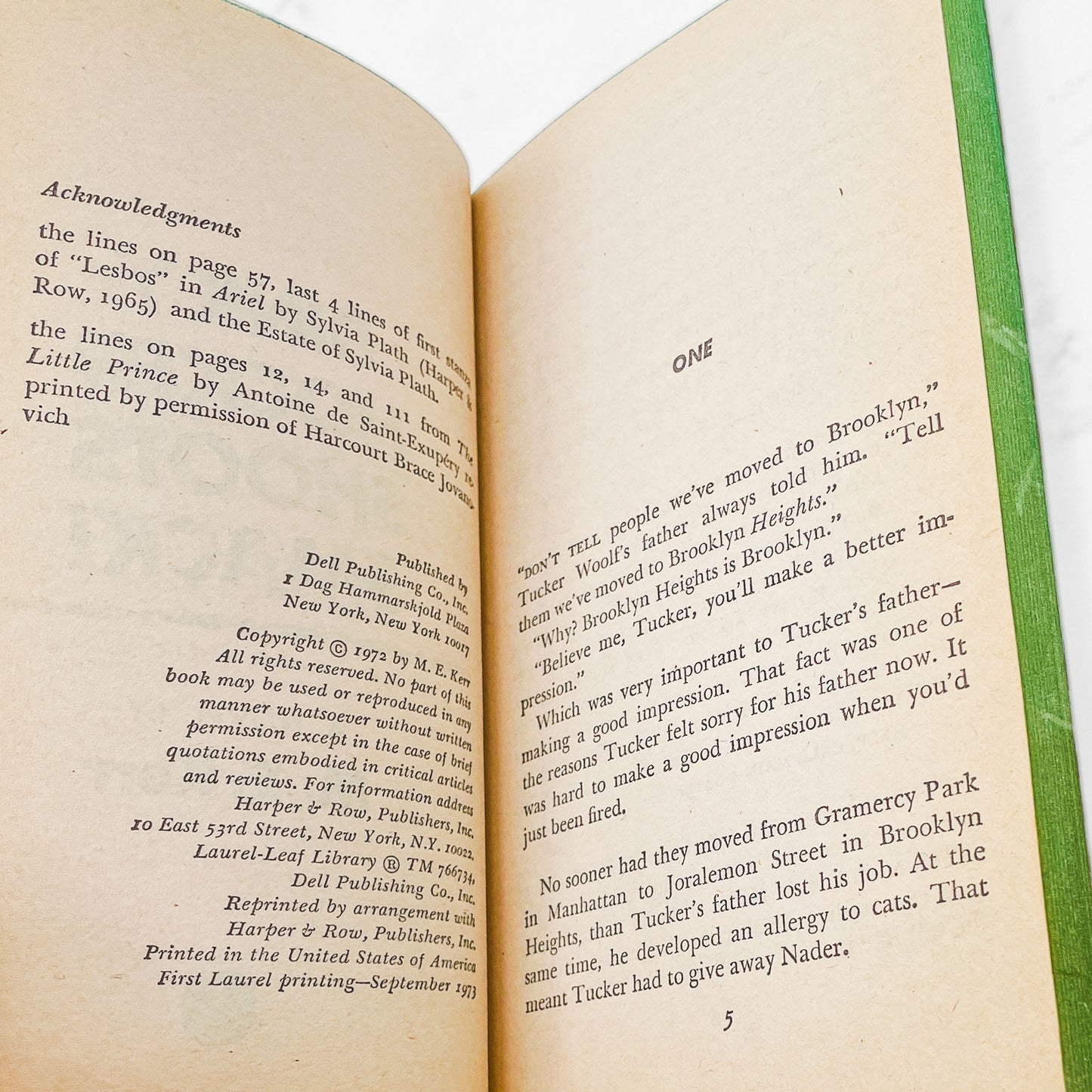 Dinky Hocker Shoots Smack! by M.E. Kerr [FIRST PAPERBACK PRINTING] 1973 • Dell