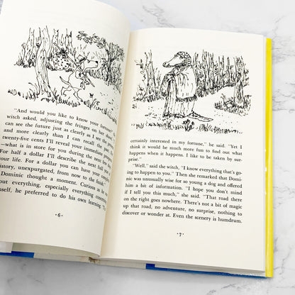 Dominic by William Steig [FIRST EDITION] • 9th Printing / 1994 • Farrar Straus Giroux