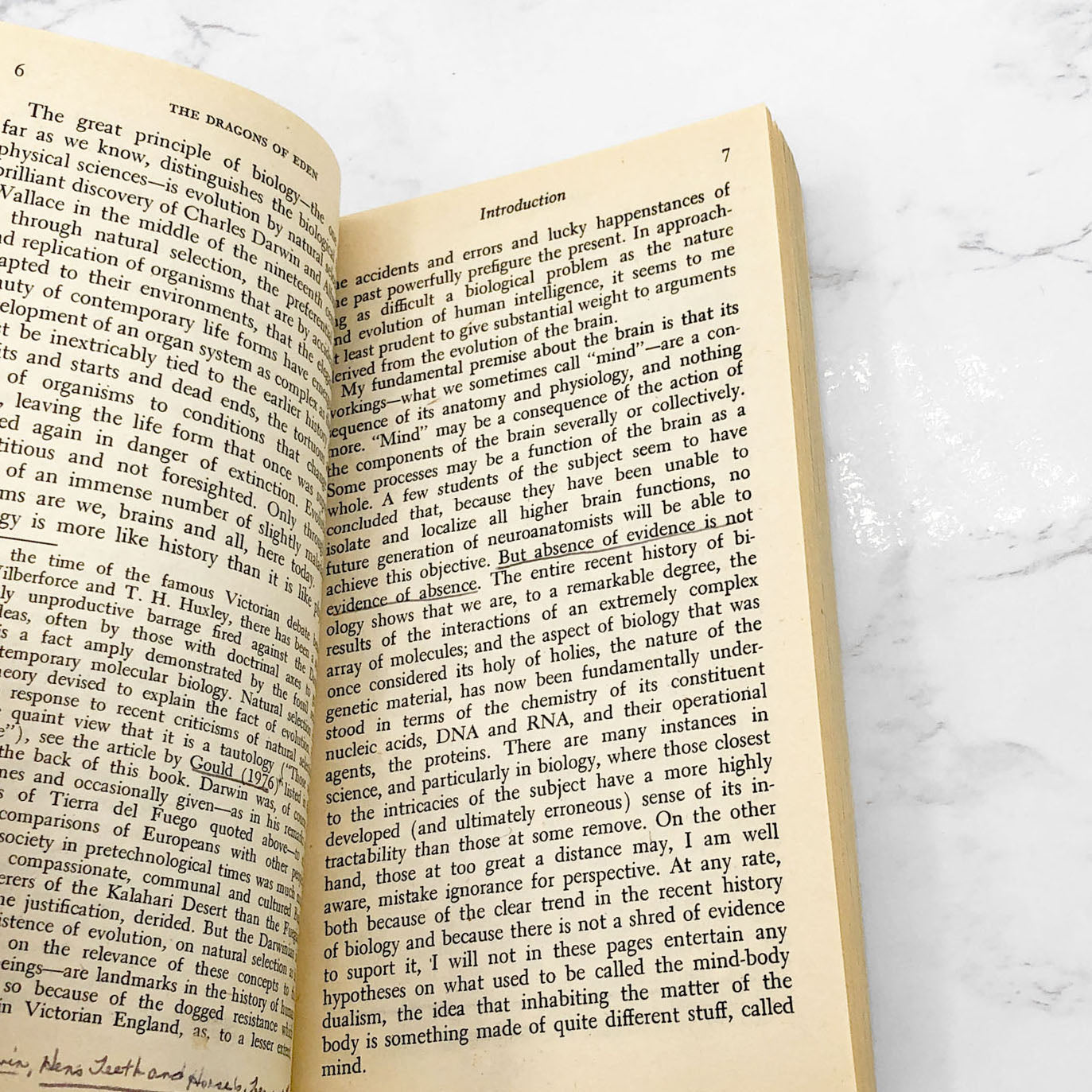 The Dragons of Eden by Carl Sagan [1981 PAPERBACK] • Ballantine