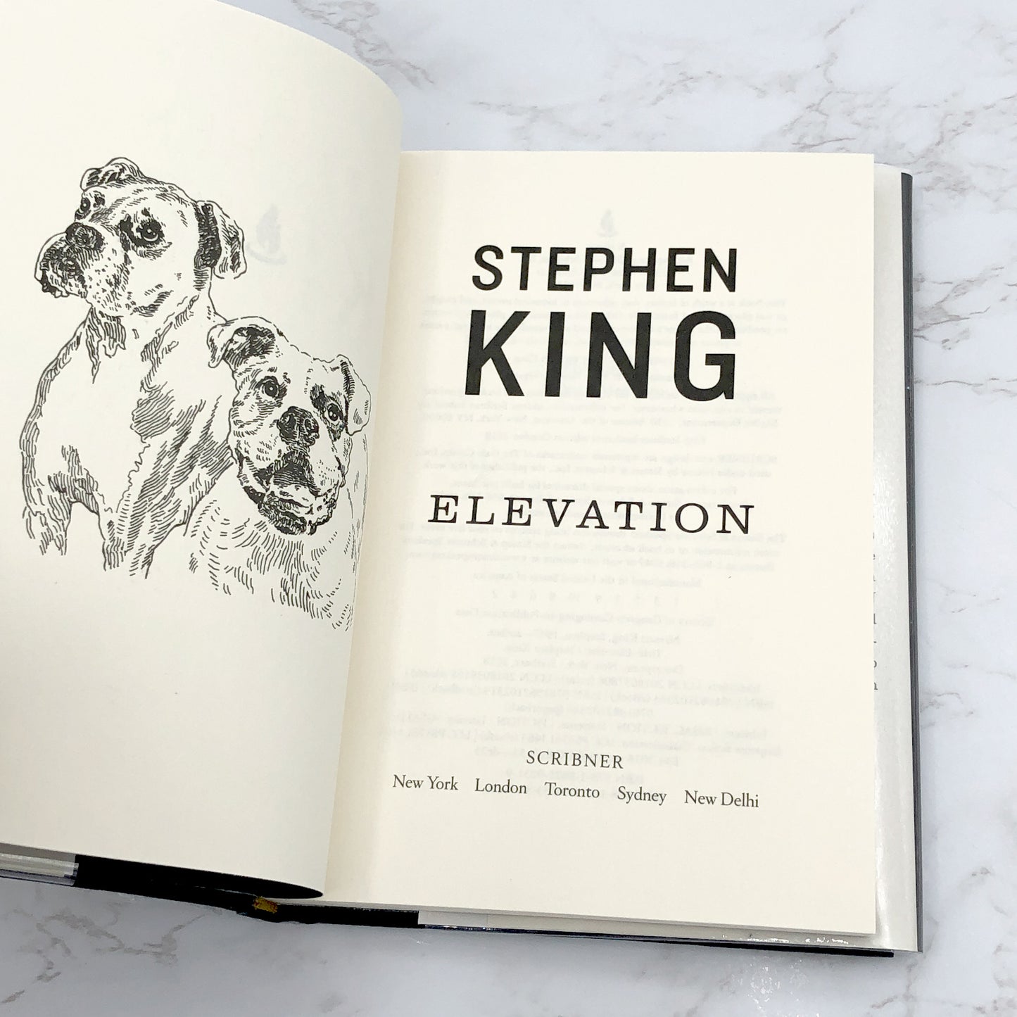 Elevation by Stephen King [FIRST EDITION • FIRST PRINTING] 2018 • Scribner