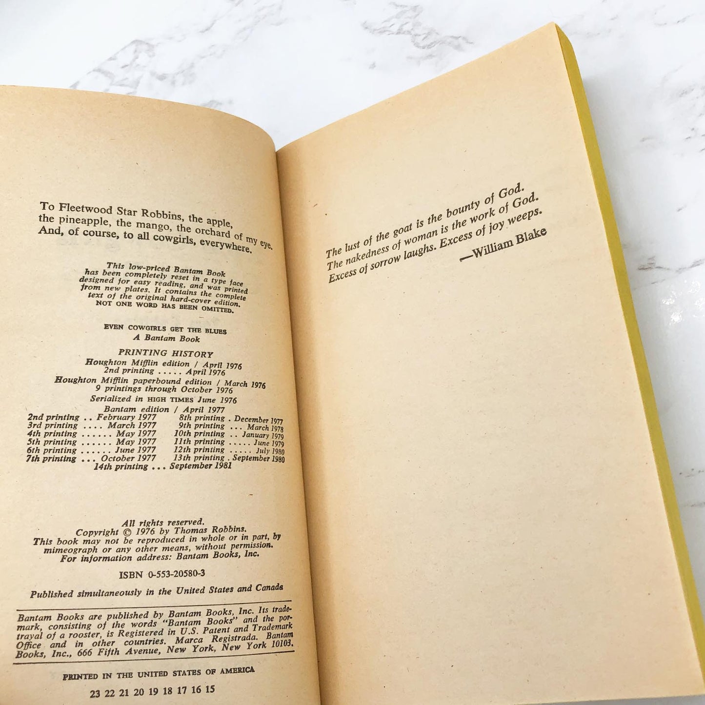 Even Cowgirls Get the Blues by Tom Robbins [1981 PAPERBACK] • Ballantine