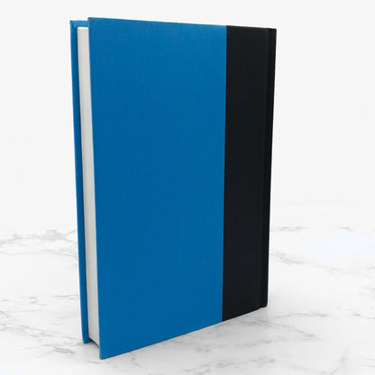 Everything and More: A Compact History of Infinity by David Foster Wallace [FIRST EDITION • FIRST PRINTING] 2003