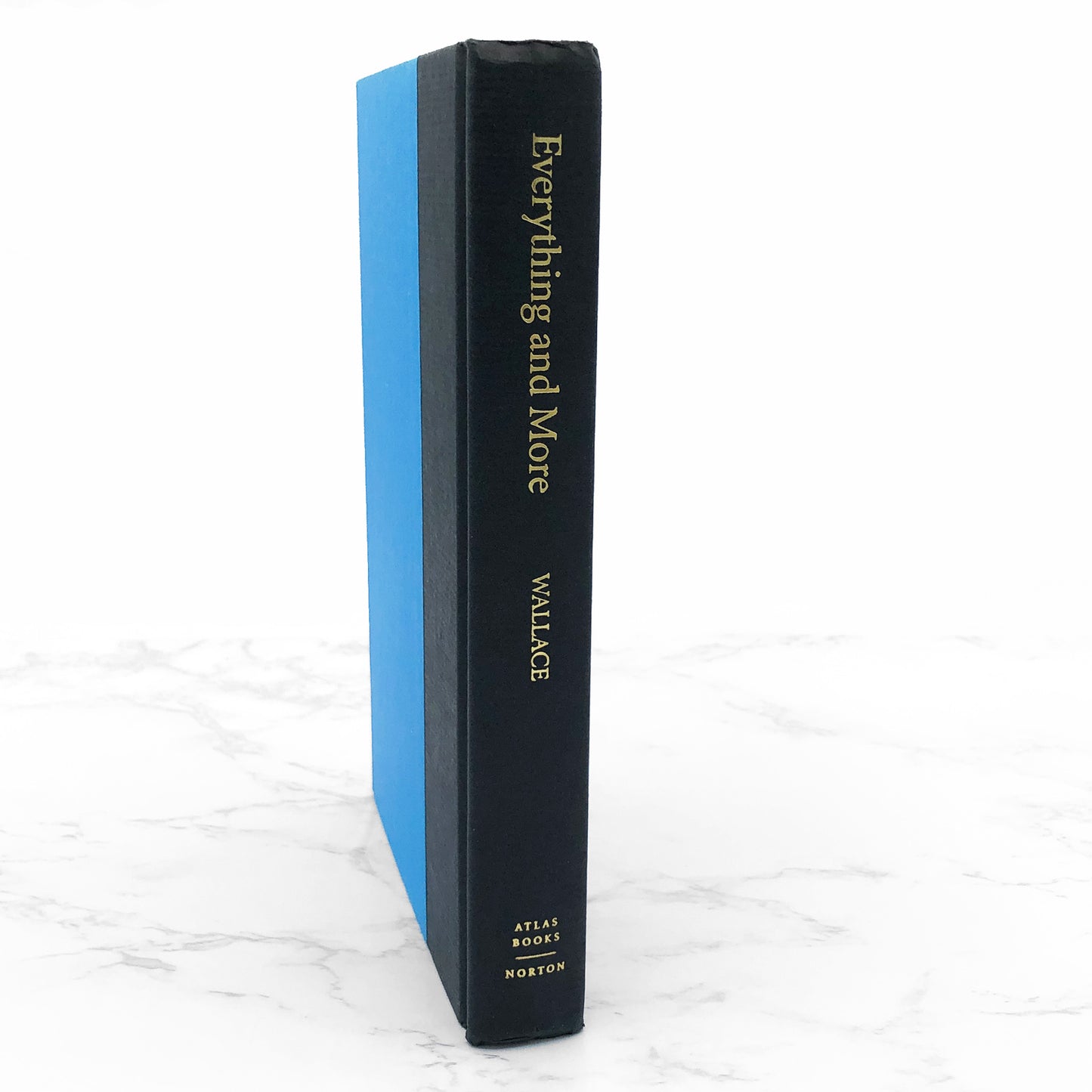 Everything and More: A Compact History of Infinity by David Foster Wallace [FIRST EDITION • FIRST PRINTING] 2003