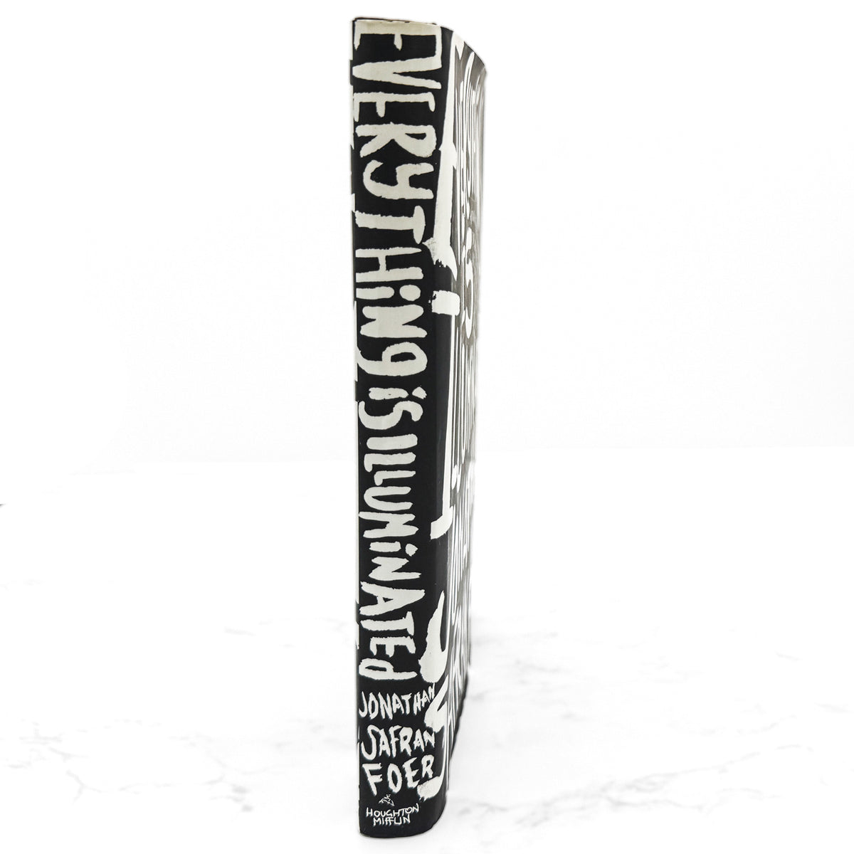 Everything is Illuminated by Jonathan Safran Foer [FIRST EDITION] 2002 • Houghton Mifflin