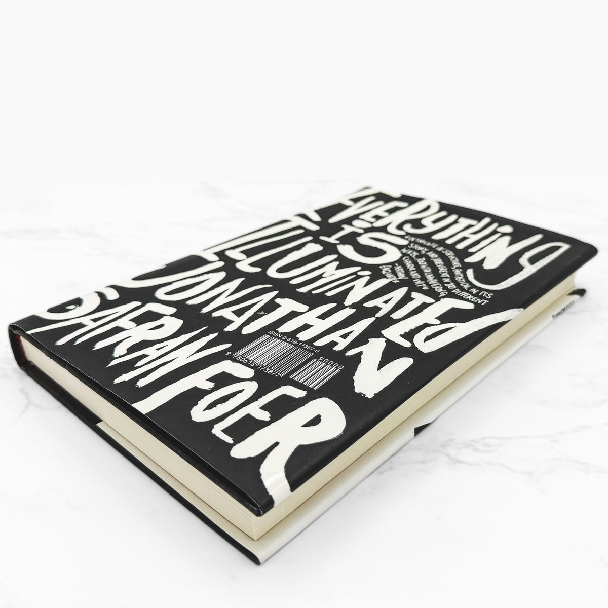 Everything is Illuminated by Jonathan Safran Foer [FIRST EDITION] 2002 • Houghton Mifflin
