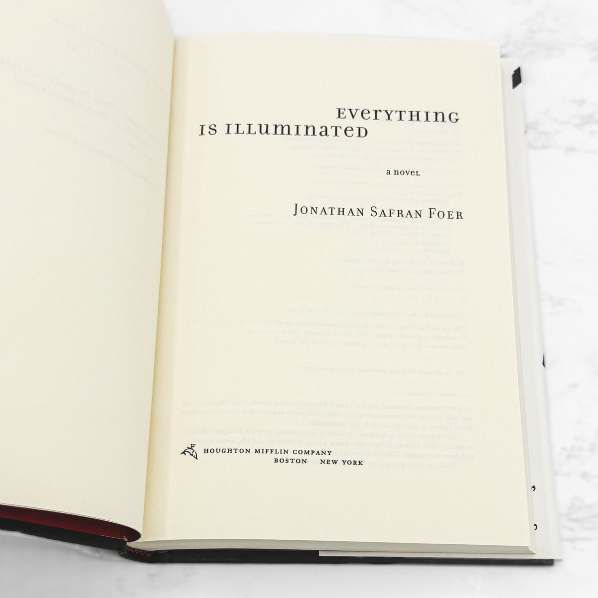 Everything is Illuminated by Jonathan Safran Foer [FIRST EDITION] 2002 • Houghton Mifflin