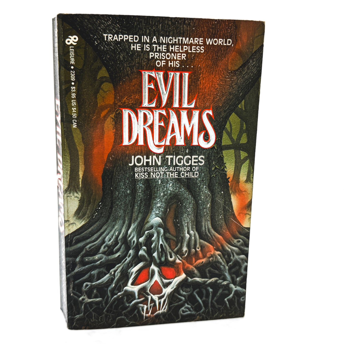 Evil Dreams by John Tigges [FIRST EDITION PAPERBACK] 1986 • Leisure Horror