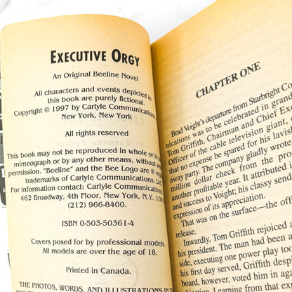 Executive Orgy by Barbara Boinck [SLEAZE PAPERBACK] 1997 • Beeline