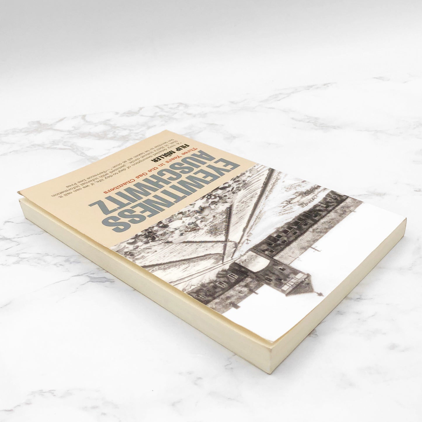 Eyewitness Auschwitz: Three Years in the Gas Chambers by Filip Müller [TRADE PAPERBACK] 1999