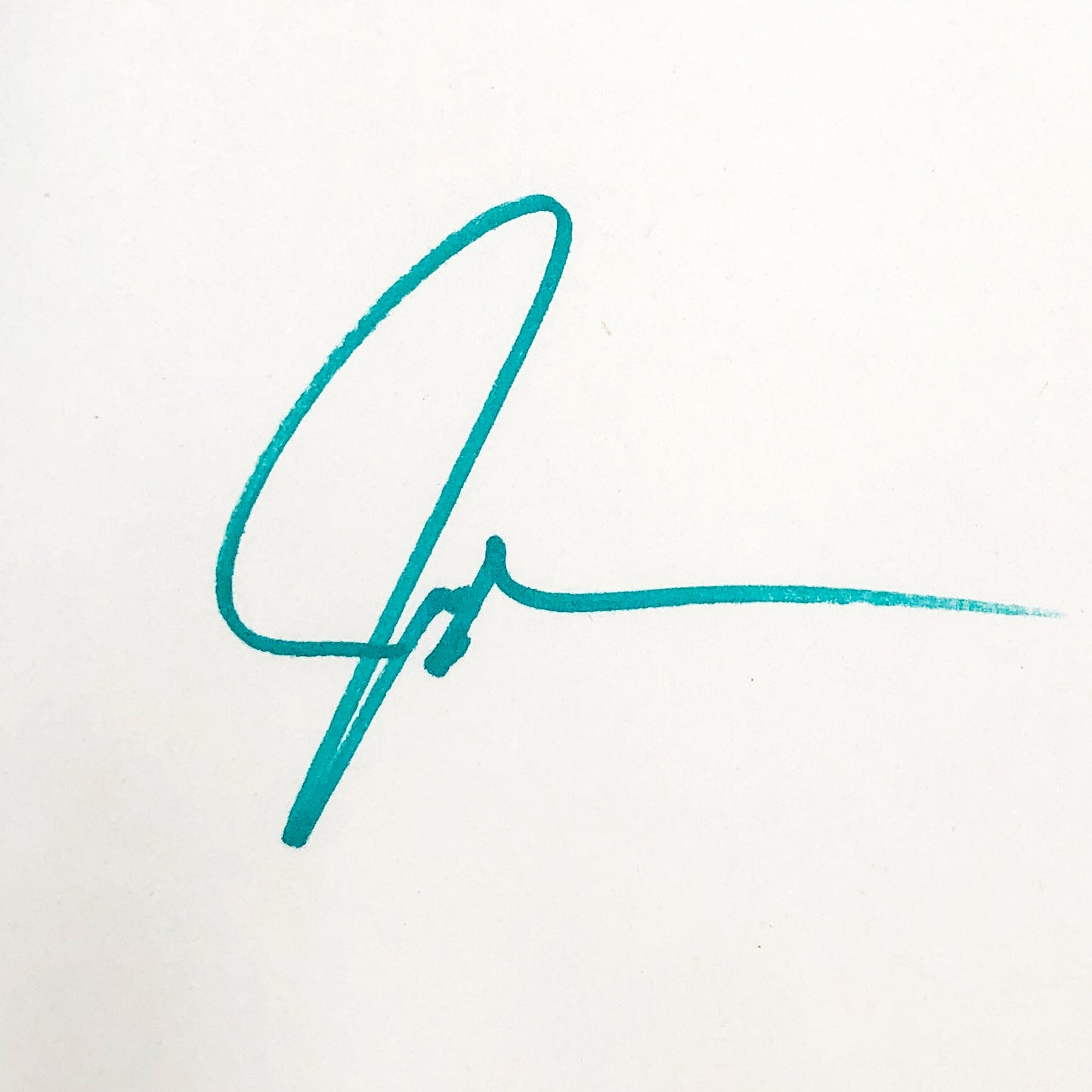 The Fault in Our Stars by John Green SIGNED! [FIRST EDITION • FIRST PRINTING] 2012 • Dutton