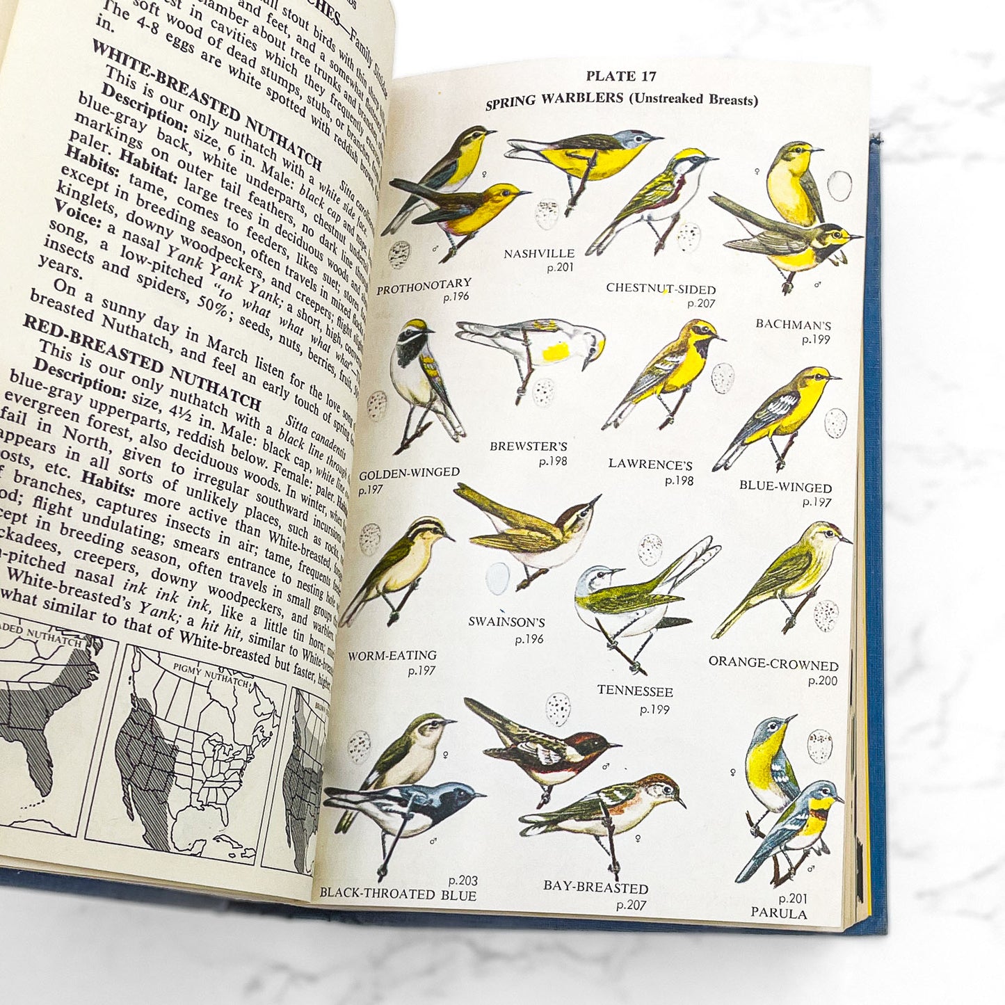 Complete Field Guide to American Wildlife: East, Central & North by Henry Hill Collins Jr. [FIRST EDITION] 1959 • Harper & Row
