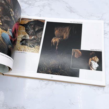 Four Seasons of Racing: A Year in Photographs by Barbara D. Livingston SIGNED! [FIRST EDITION] 1998