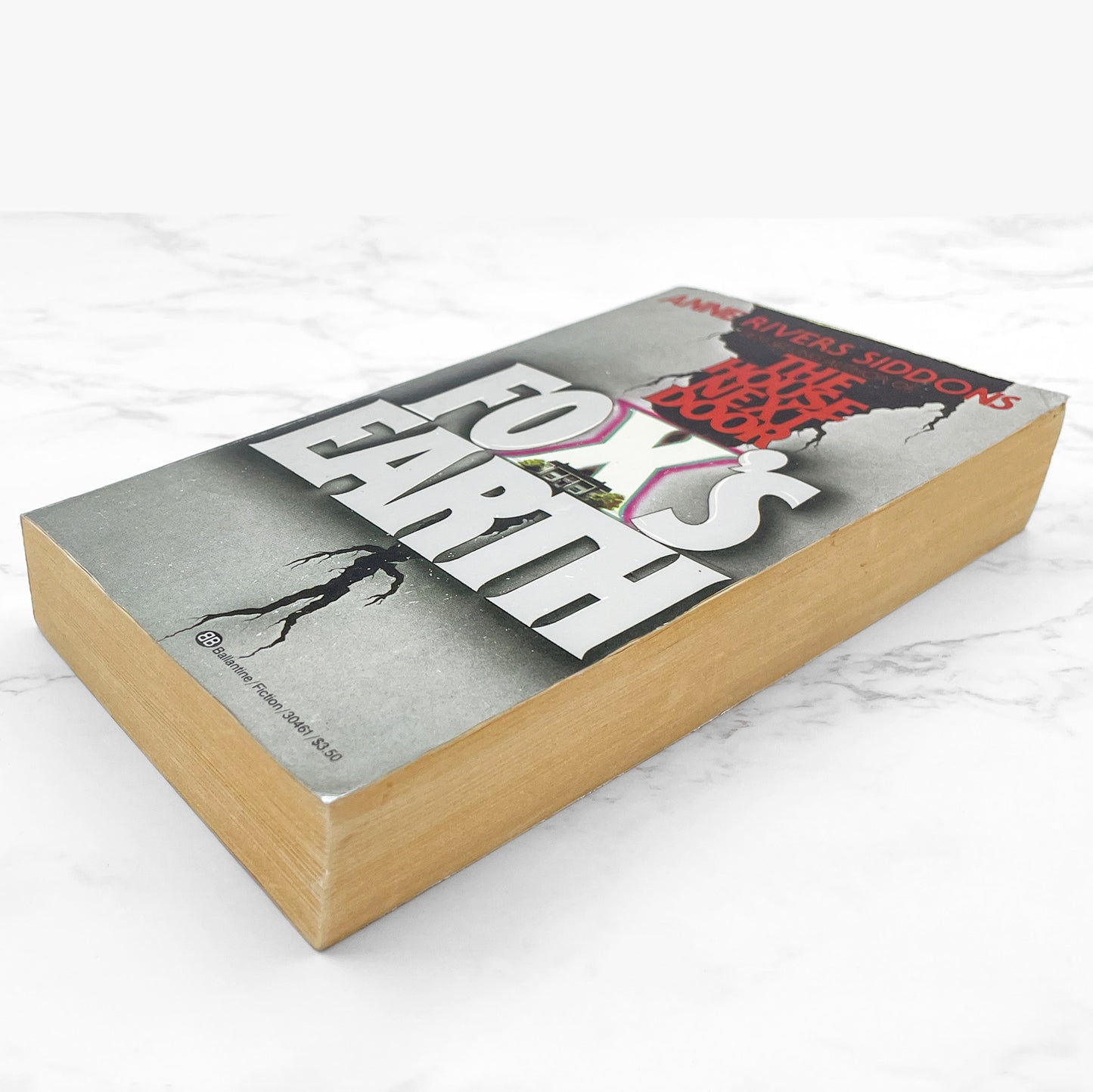 Fox's Earth by Anne Rivers Siddons [FIRST PAPERBACK PRINTING] 1982 • Ballantine