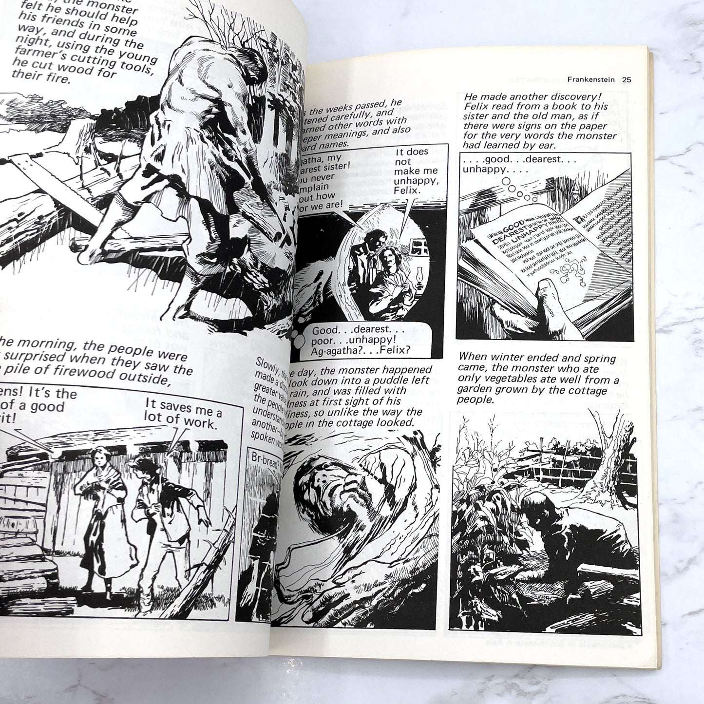 Frankenstein by Mary Shelley & Otto Binder [ILLUSTRATED TRADE PAPERBACK] 1973 Graphic Novel • Now Age