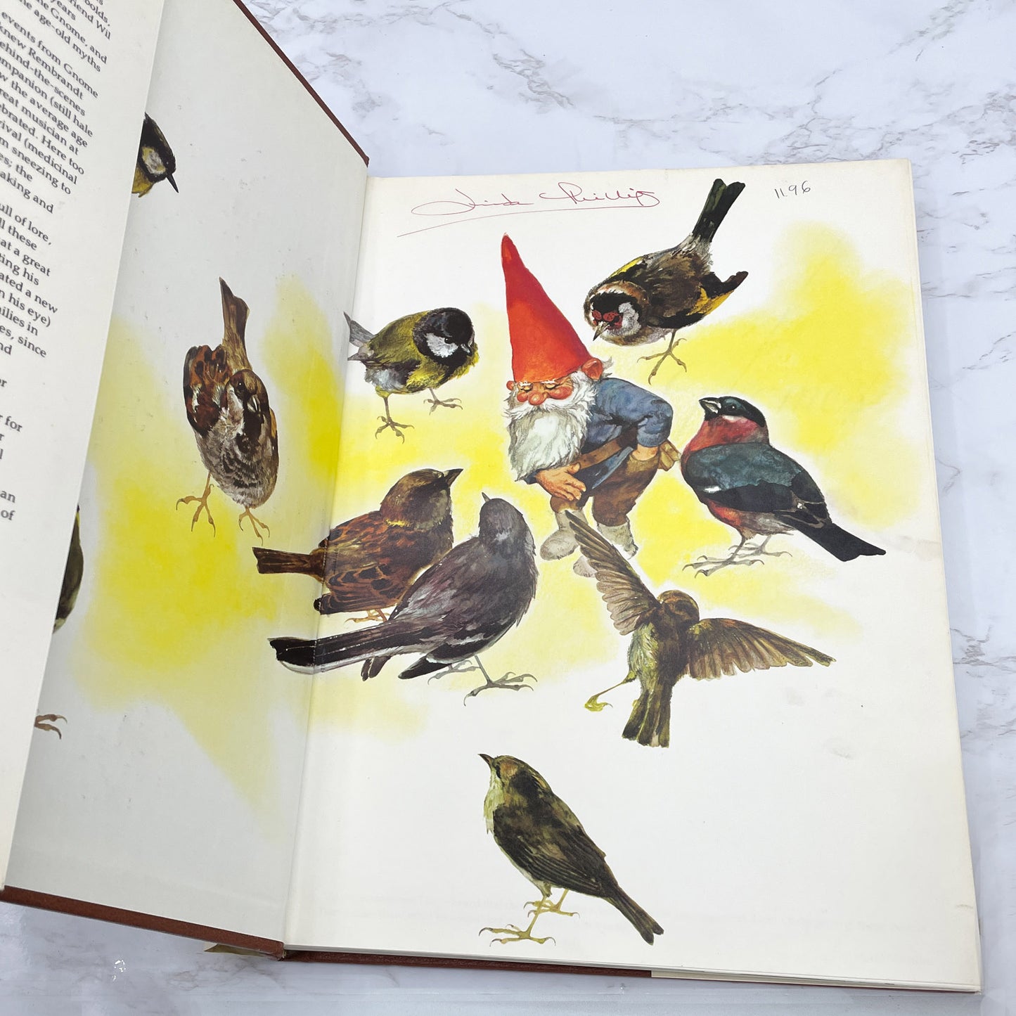 Gnomes by Wil Huygen & Rien Poortvliet [U.S. FIRST EDITION] 1977 • Harry N. Abrams