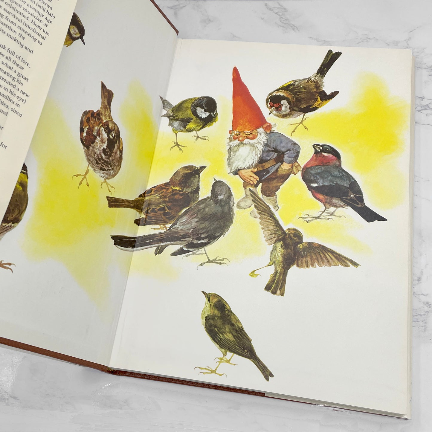 Gnomes by Wil Huygen & Rien Poortvliet [U.S. FIRST EDITION] 1977 • Harry N. Abrams • Mint