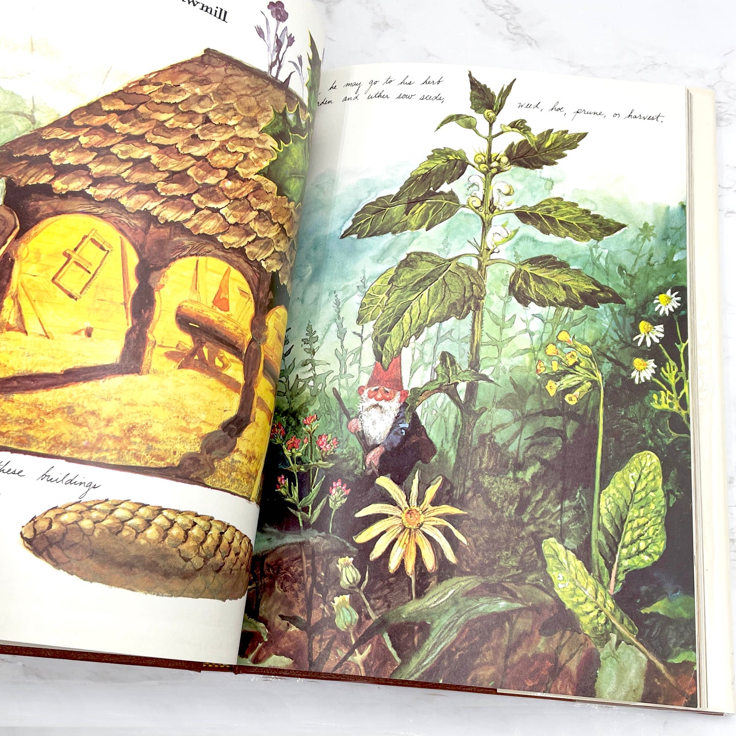 Gnomes by Wil Huygen & Rien Poortvliet [U.S. FIRST EDITION] 1977 • Harry N. Abrams • Mint