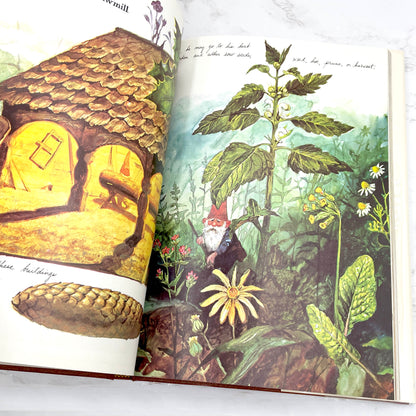 Gnomes by Wil Huygen & Rien Poortvliet [U.S. FIRST EDITION] 1977 • Harry N. Abrams • Mint