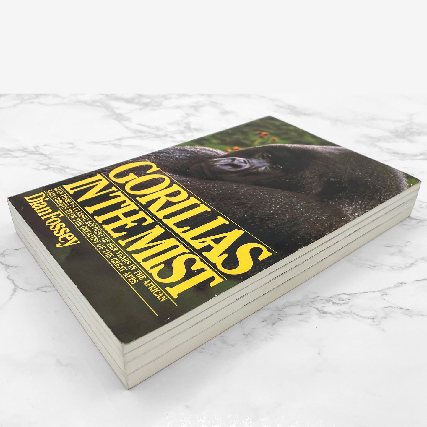 Gorillas in the Mist by Dian Fossey [FIRST PAPERBACK EDITION] 1983 • Houghton Mifflin