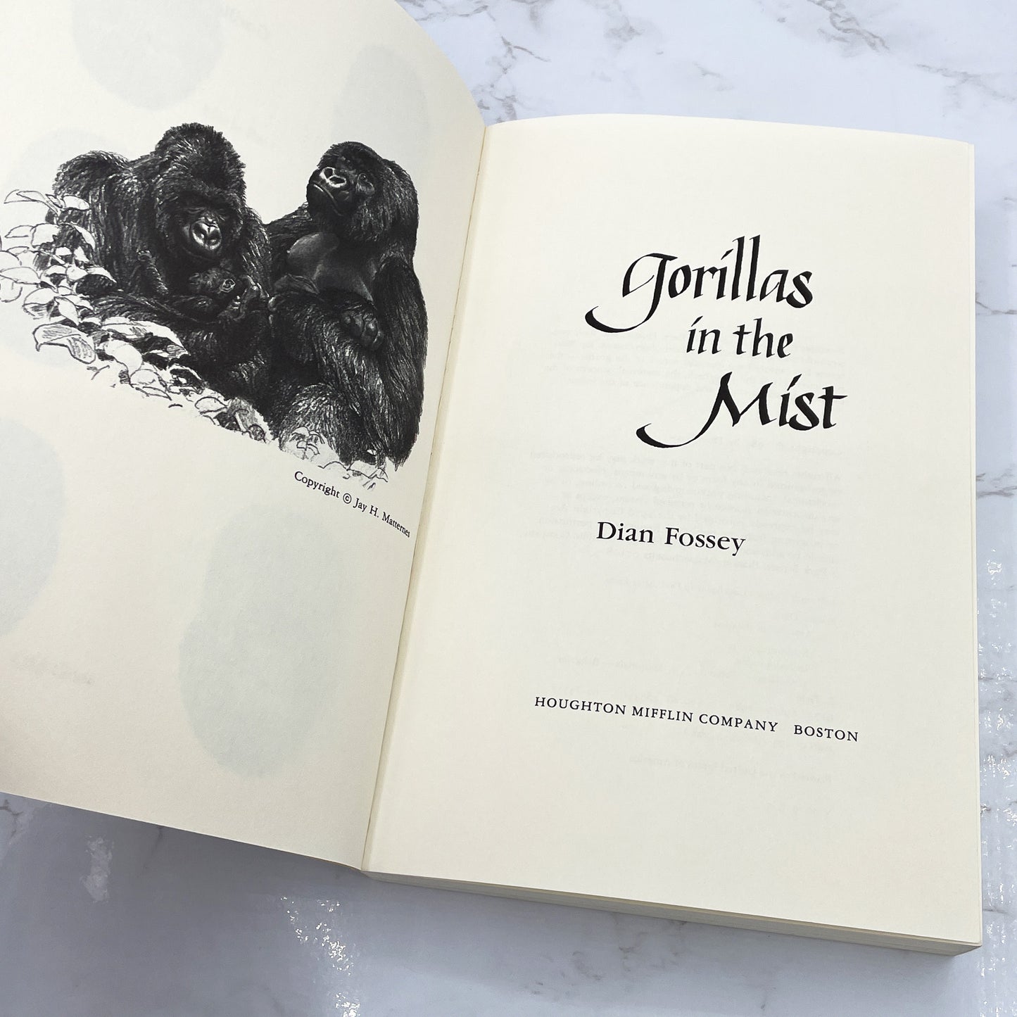 Gorillas in the Mist by Dian Fossey [FIRST PAPERBACK EDITION] 1983 • Houghton Mifflin