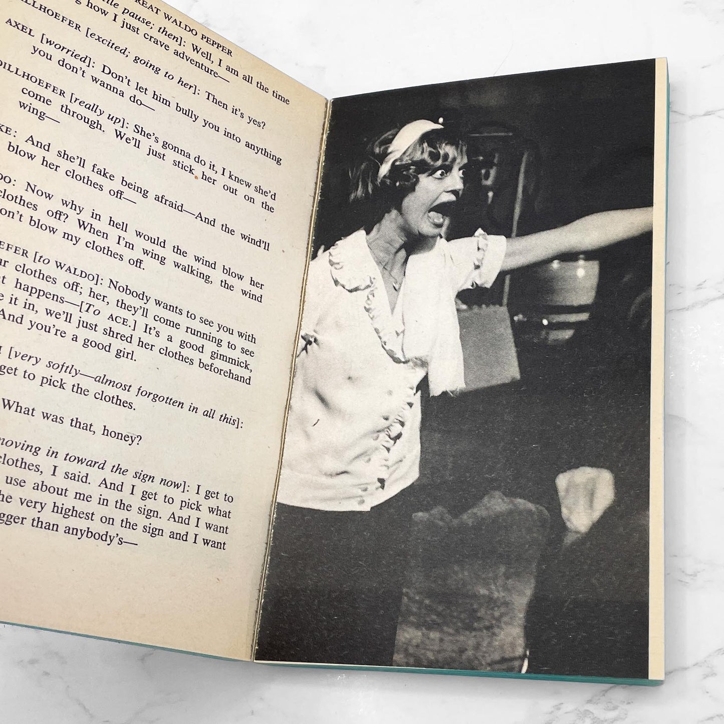 The Great Waldo Pepper: A Screenplay by William Goldman [FIRST EDITION PAPERBACK] 1975 • Dell