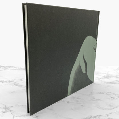 Hansel and Gretel by Stephen King & Maurice Sendak [FIRST EDITION • FIRST PRINTING] 2025 • HarperCollins