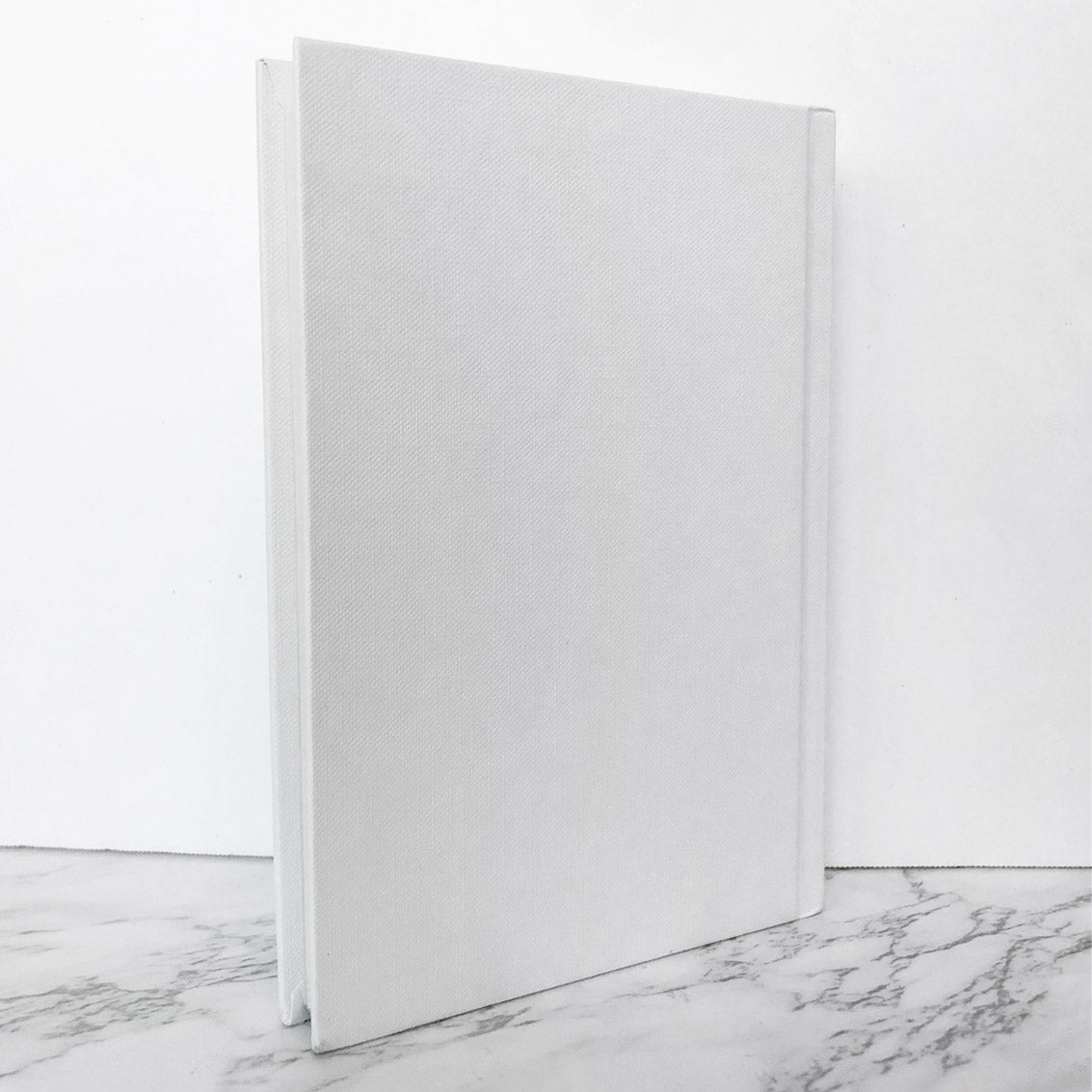 Holidays on Ice by David Sedaris [HARDCOVER RE-ISSUE] 2008 • Little Brown