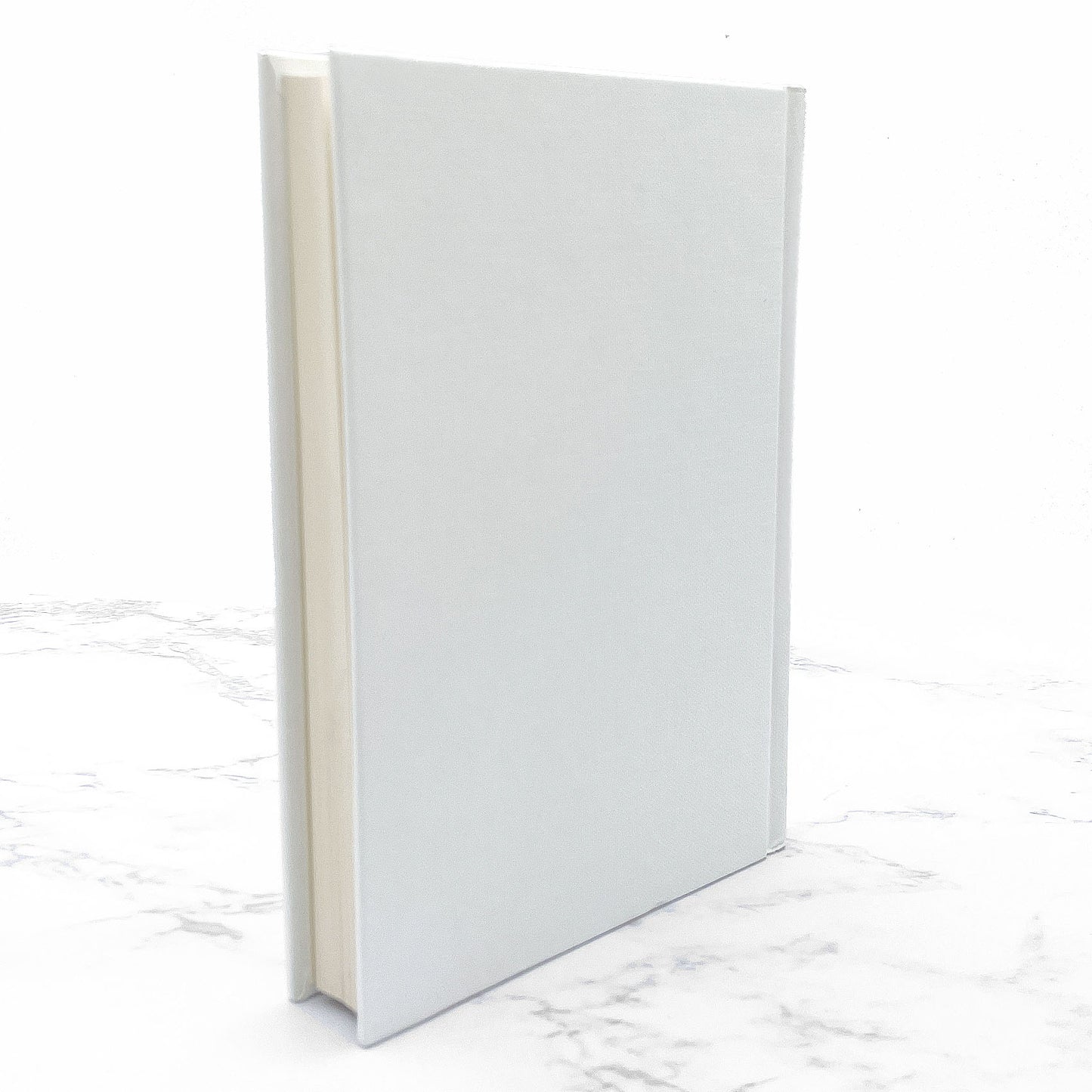 Holidays on Ice by David Sedaris SIGNED! [HARDCOVER RE-ISSUE] 2008 • Little Brown & Co.