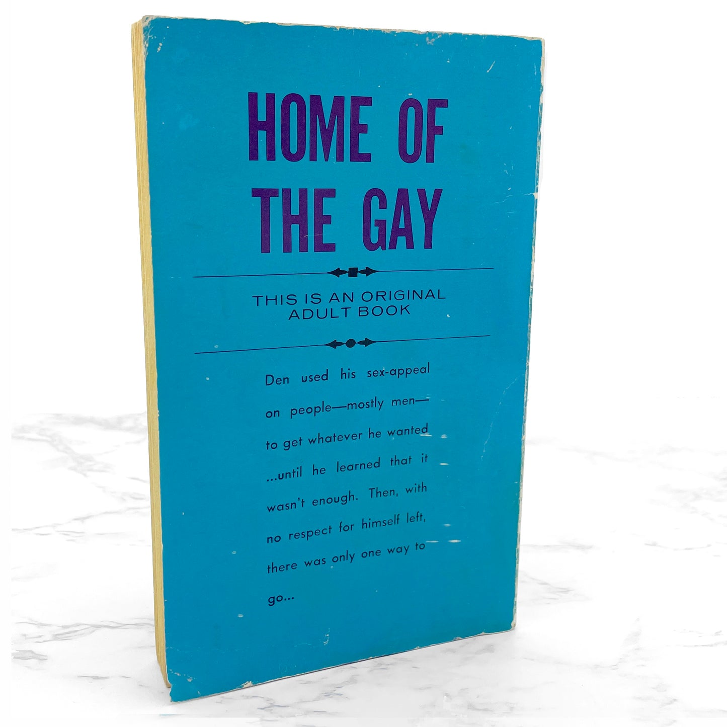 Home of the Gay by Don Holliday [GAY SLEAZE PAPERBACK] 1968 • Adult Books