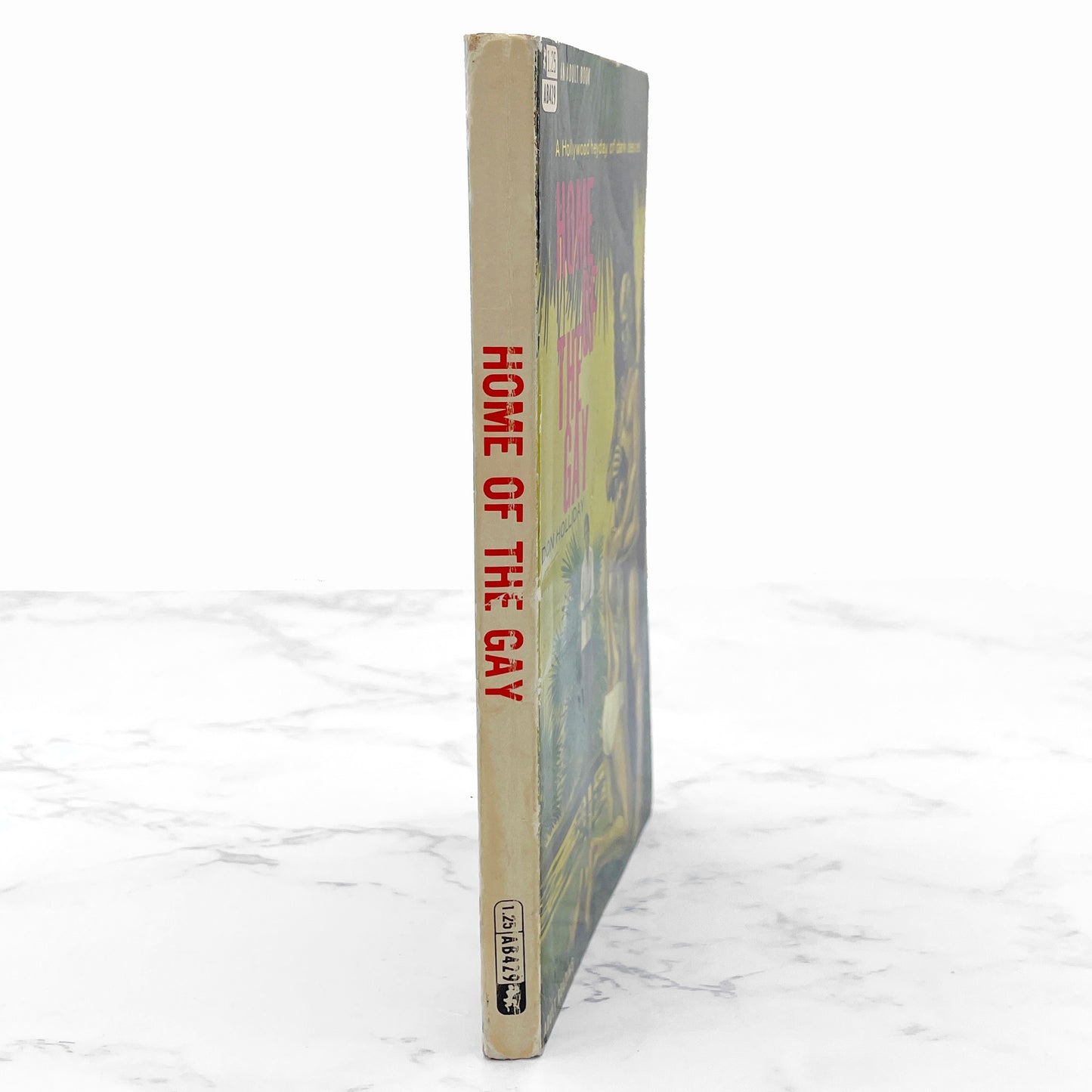 Home of the Gay by Don Holliday [GAY SLEAZE PAPERBACK] 1968 • Adult Books