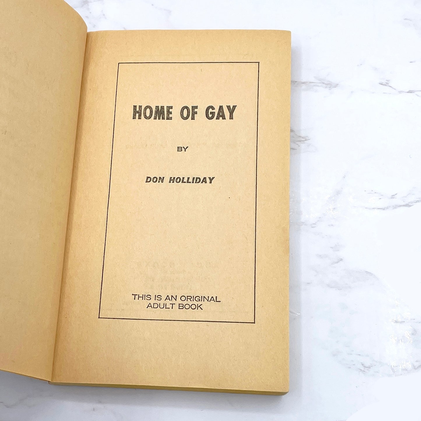 Home of the Gay by Don Holliday [GAY SLEAZE PAPERBACK] 1968 • Adult Books