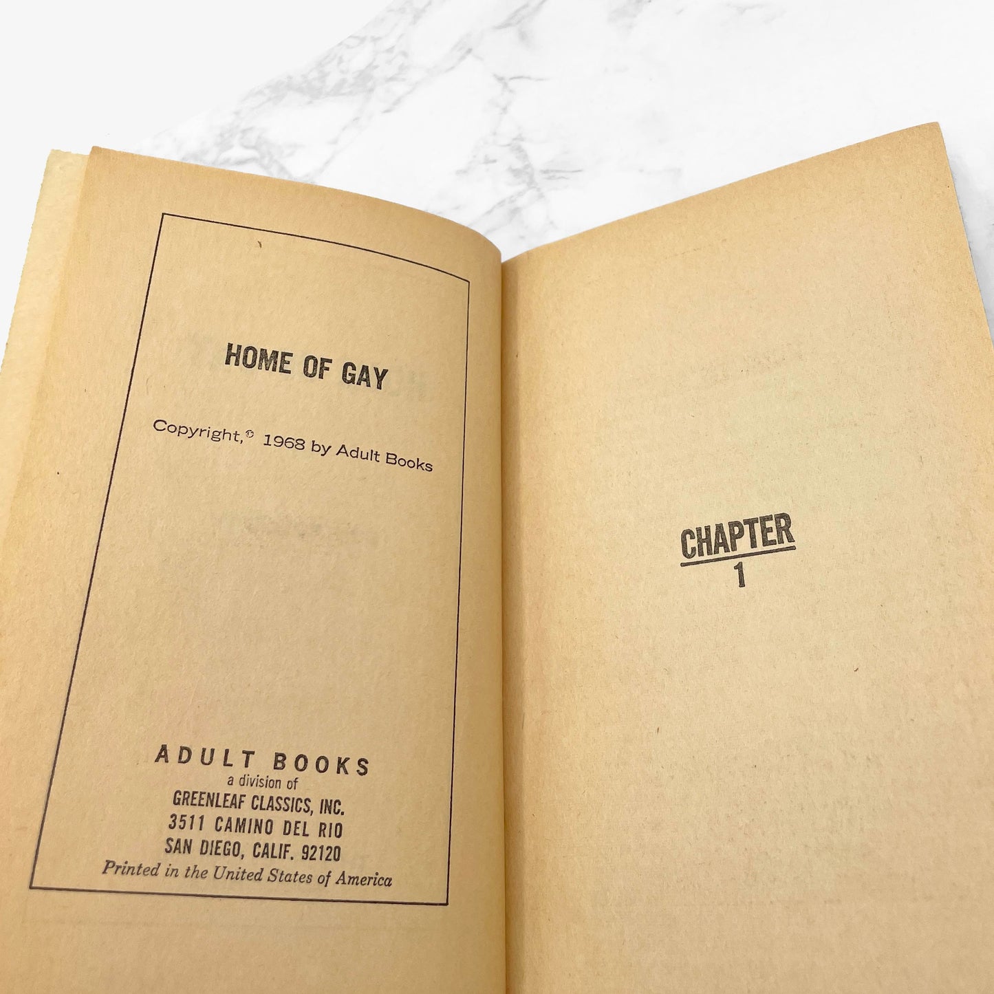Home of the Gay by Don Holliday [GAY SLEAZE PAPERBACK] 1968 • Adult Books