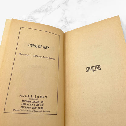 Home of the Gay by Don Holliday [GAY SLEAZE PAPERBACK] 1968 • Adult Books
