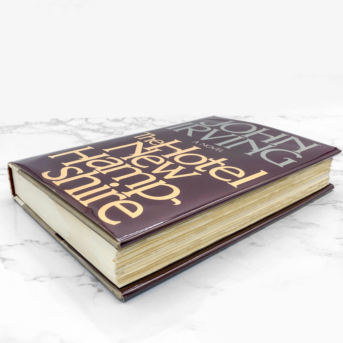 The Hotel New Hampshire by John Irving [FIRST EDITION • FIRST PRINTING] 1981 • E.P. Dutton