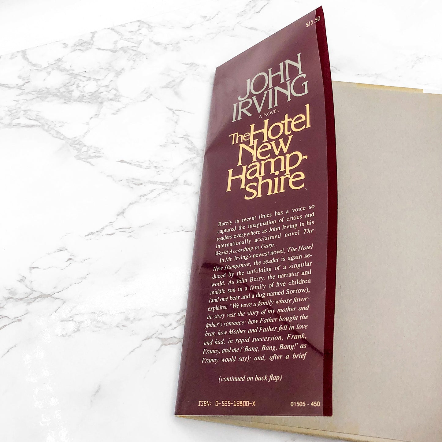 The Hotel New Hampshire by John Irving [FIRST EDITION • FIRST PRINTING] 1981 • E.P. Dutton