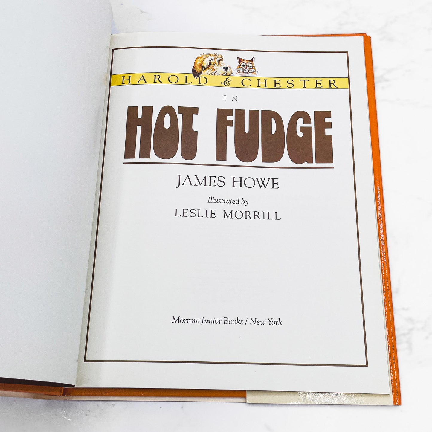 Hot Fudge by James Howe [FIRST EDITION • FIRST PRINTING] 1990 • William Morrow