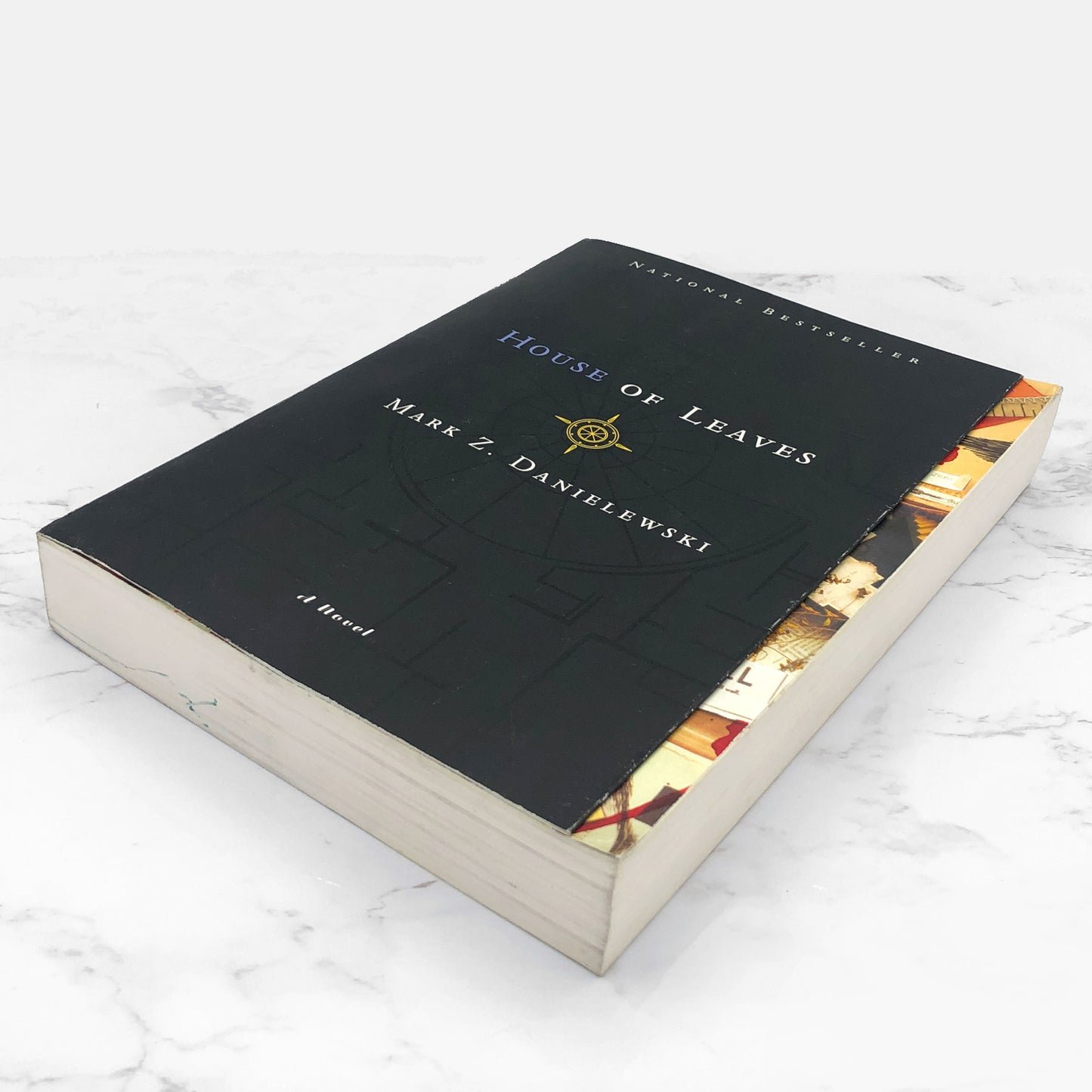 House of Leaves by Mark Z. Danielewski [2-COLOR EDITION / BLUE] 2000 • Pantheon Softcover