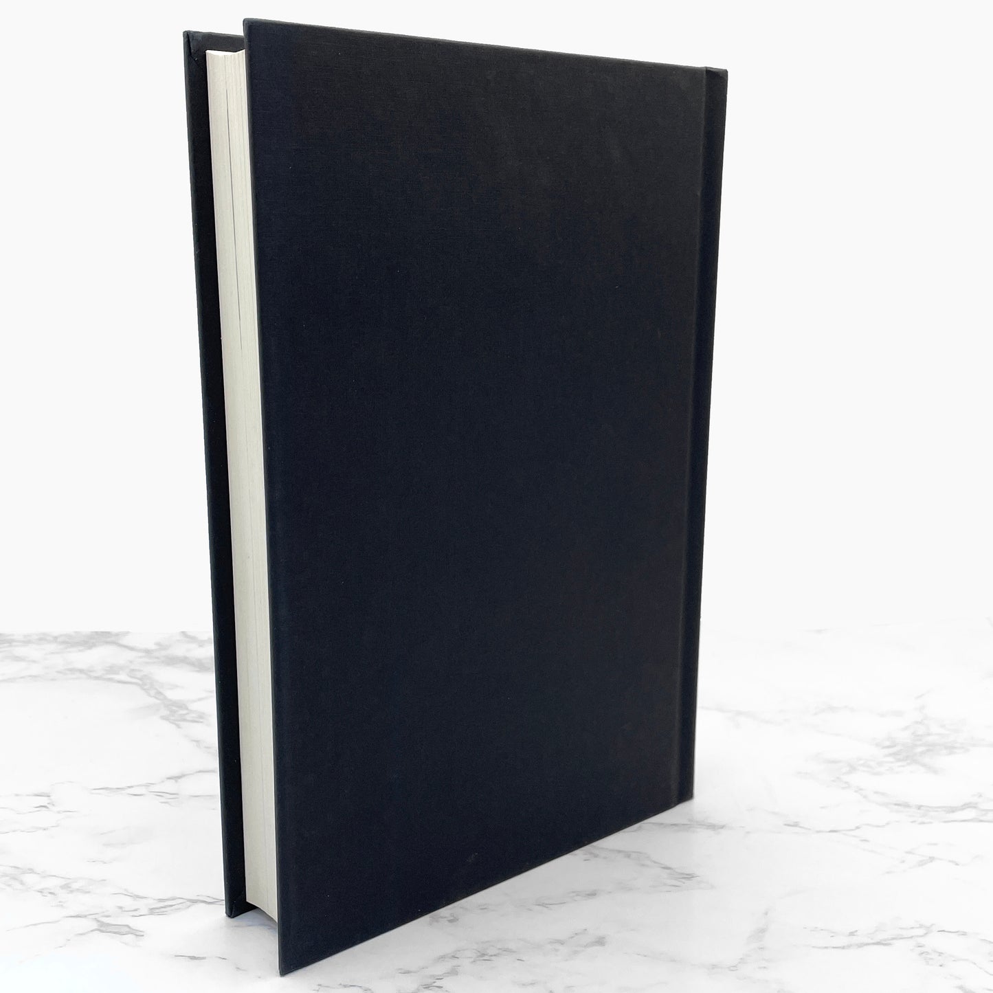 The Ice Man: Confessions of a Mafia Contract Killer by Philip Carlo [FIRST EDITION] 2006 • St. Martin's Press