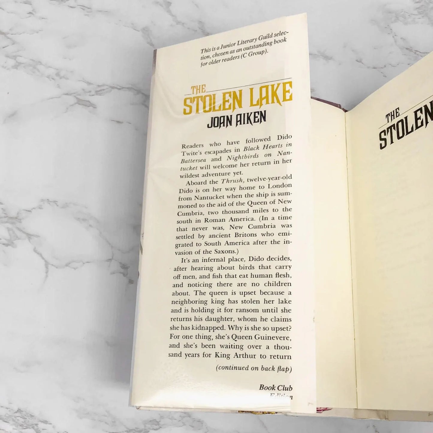The Stolen Lake by Joan Aiken [FIRST BOOK CLUB EDITION] 1981 • Delacorte