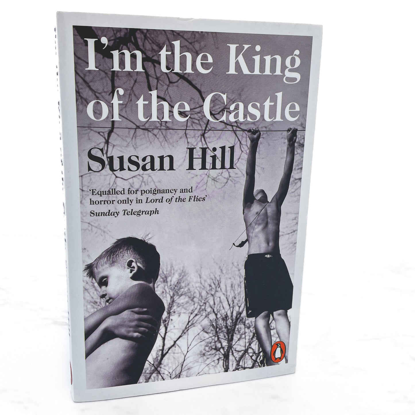 I'm the King of the Castle by Susan Hill [U.K. TRADE PAPERBACK] 2019 • Penguin Books