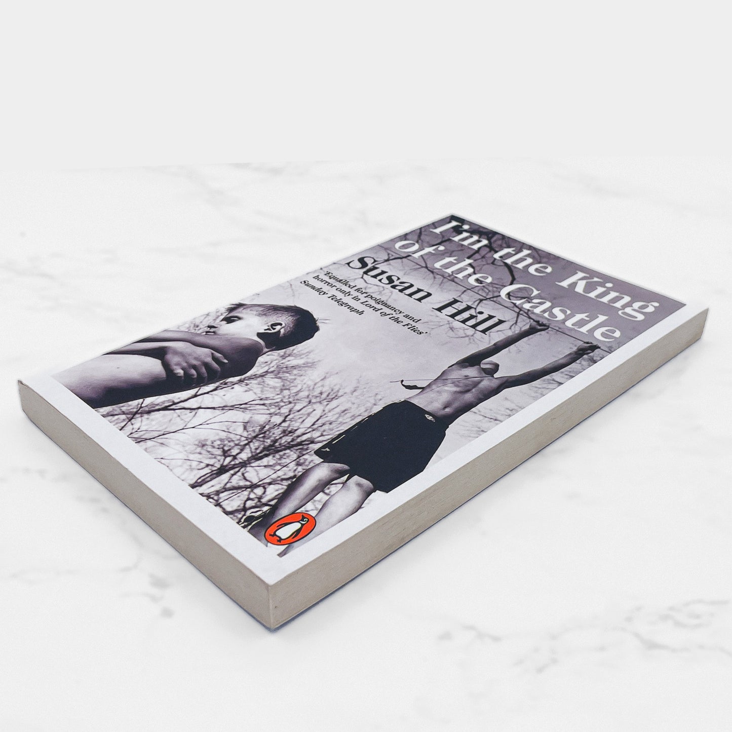 I'm the King of the Castle by Susan Hill [U.K. TRADE PAPERBACK] 2019 • Penguin Books