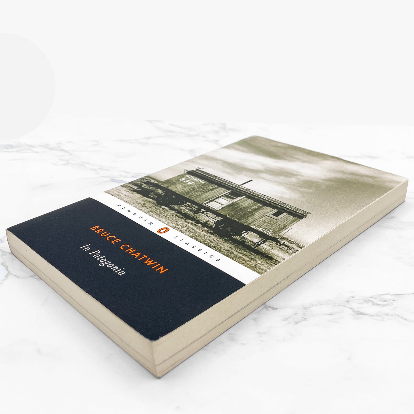 In Patagonia by Bruce Chatwin [TRADE PAPERBACK] 2003 • Penguin Classics