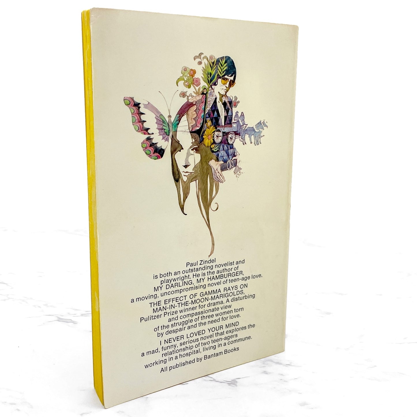 I Never Loved Your Mind by Paul Zindel [1978 PAPERBACK] • Bantam *SEE CONDITION