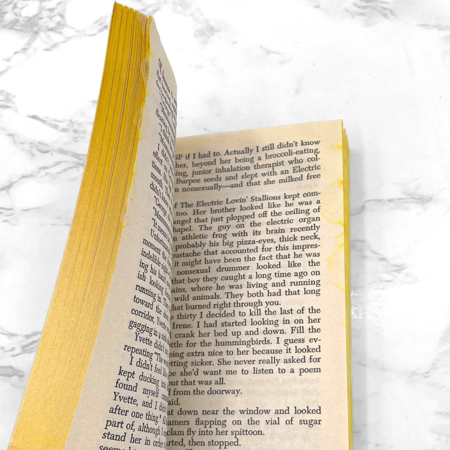 I Never Loved Your Mind by Paul Zindel [1978 PAPERBACK] • Bantam *SEE CONDITION